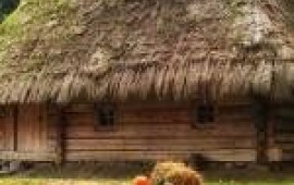 Екскурсії у Шевченківський Гай Екскурсії у Шевченківський Гай